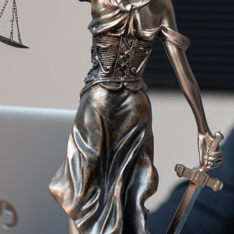 professional portrait lawyer